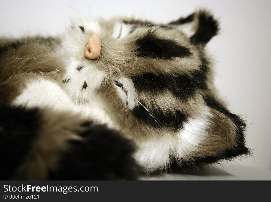 Detail of sleeping toy-cat against white background