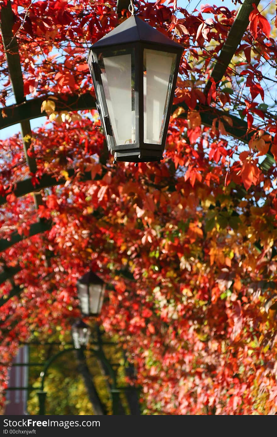 Lantern In Autumn Leaves