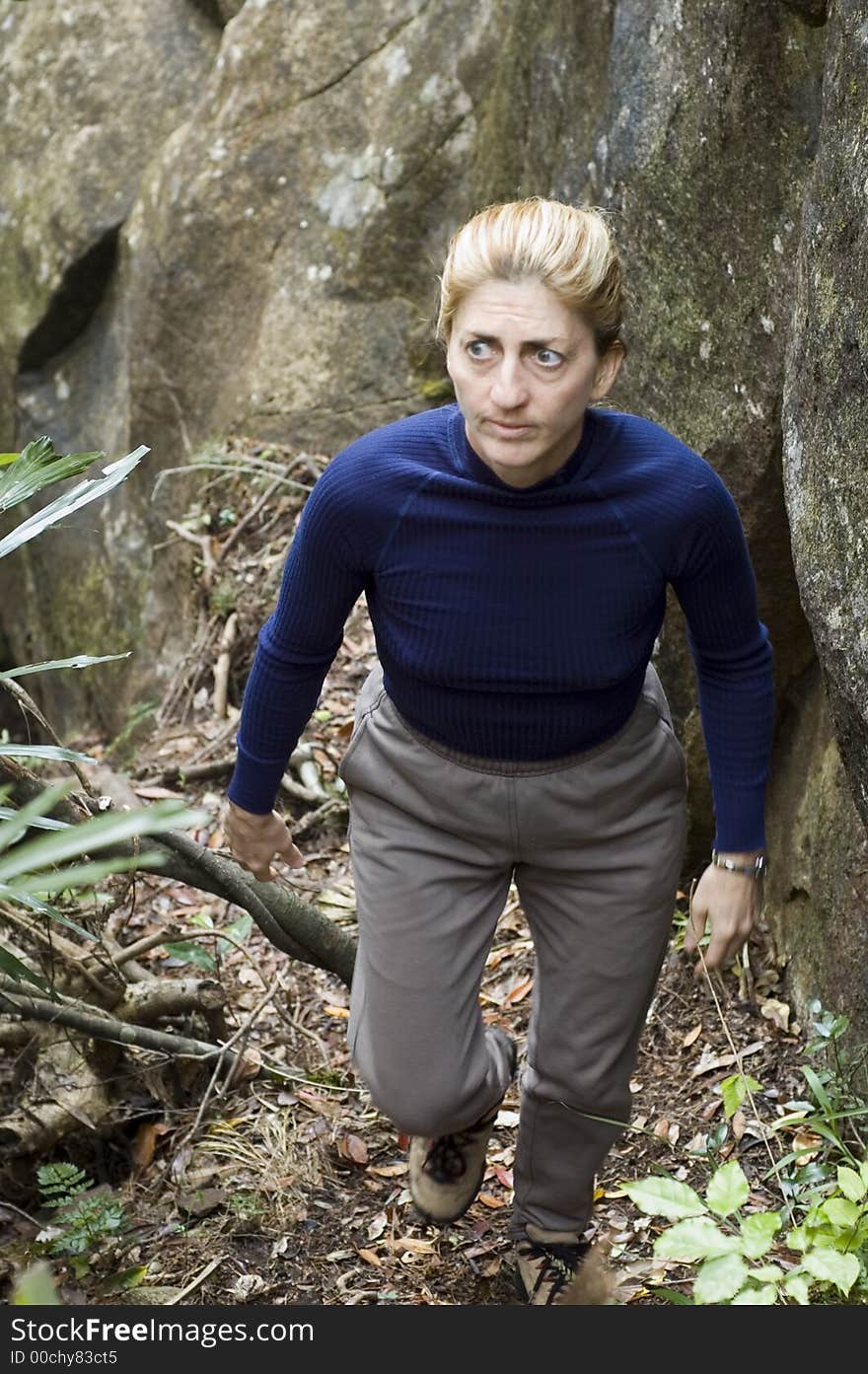 Woman hiking in the woods. Woman hiking in the woods