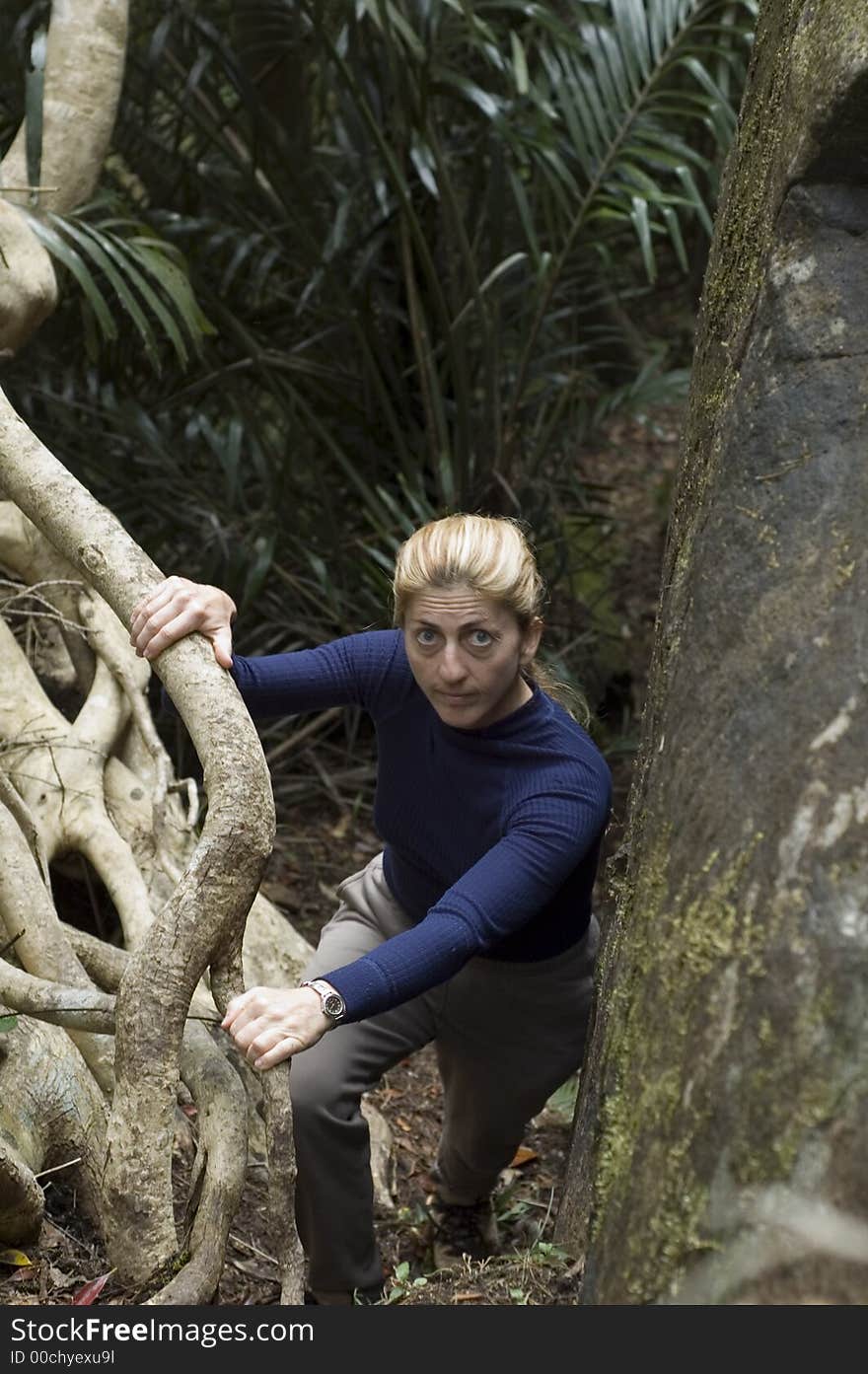 Woman hiking in the rainforest. Woman hiking in the rainforest