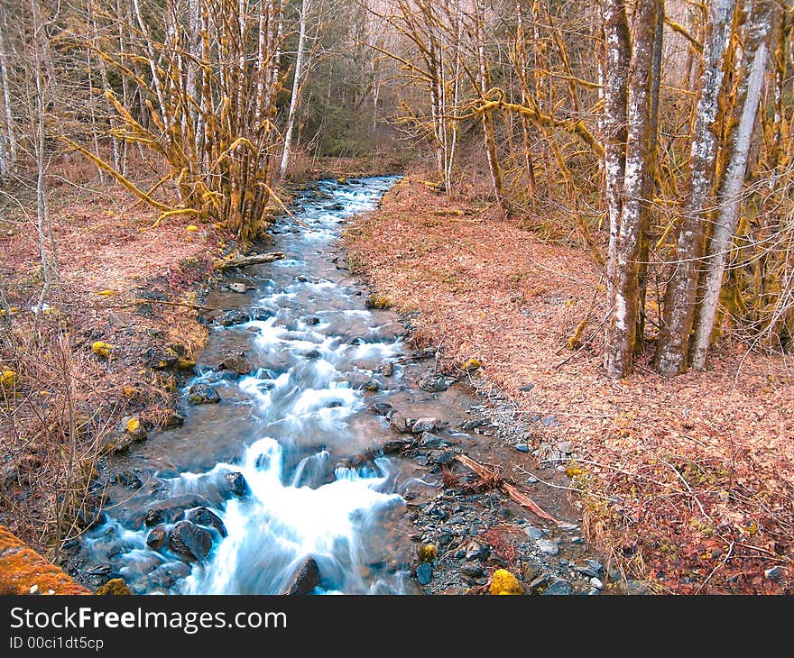 rocky stream in northwest washington state usa. rocky stream in northwest washington state usa