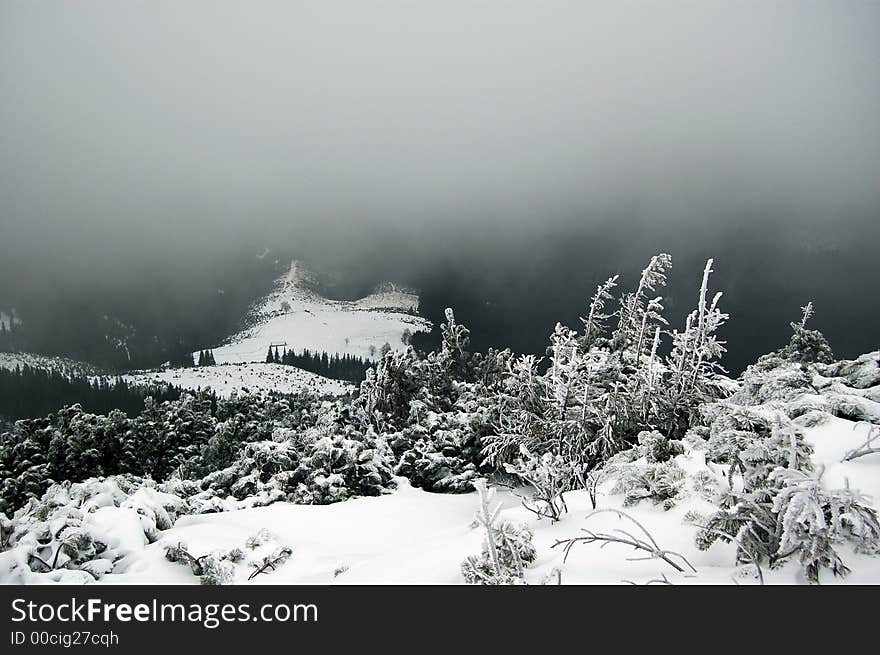 Village in the winter forest on the mountains. Village in the winter forest on the mountains