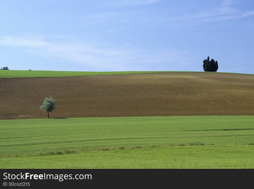 Tuscany landscape