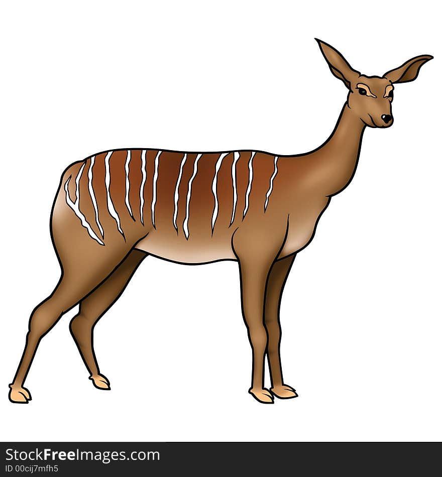 Antelope 02 - High detailed and coloured illustration - Antelope Kudu