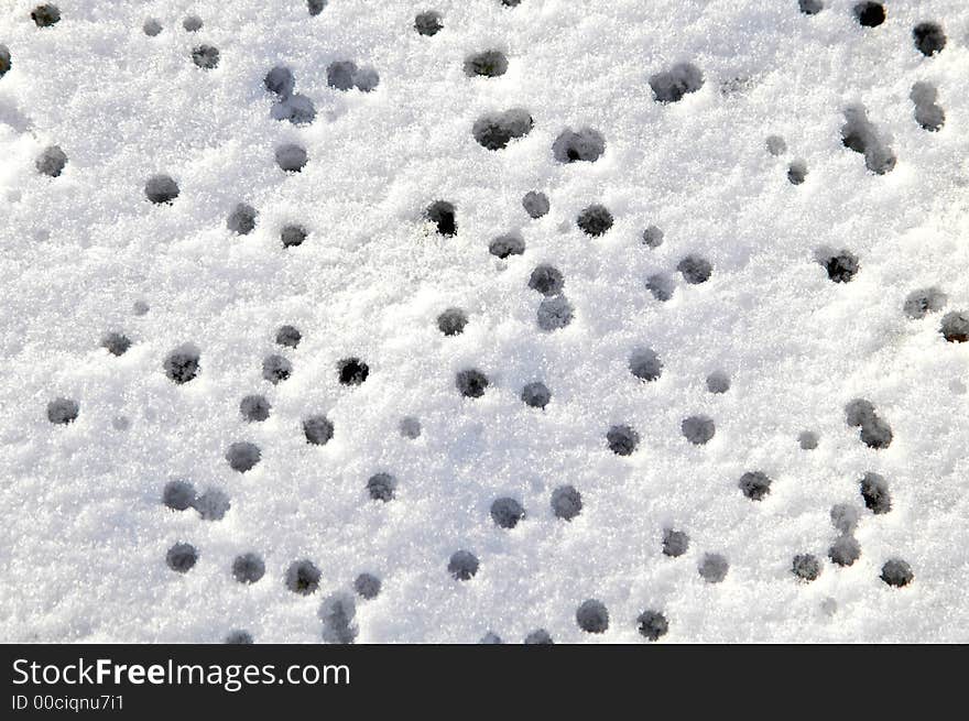 Rain drops structure on the melting snow. Rain drops structure on the melting snow