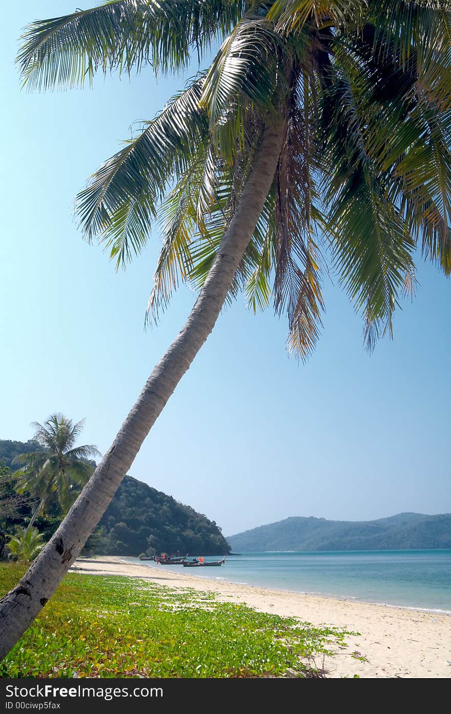 View of nice inclined palm and few tropical islands in the distance