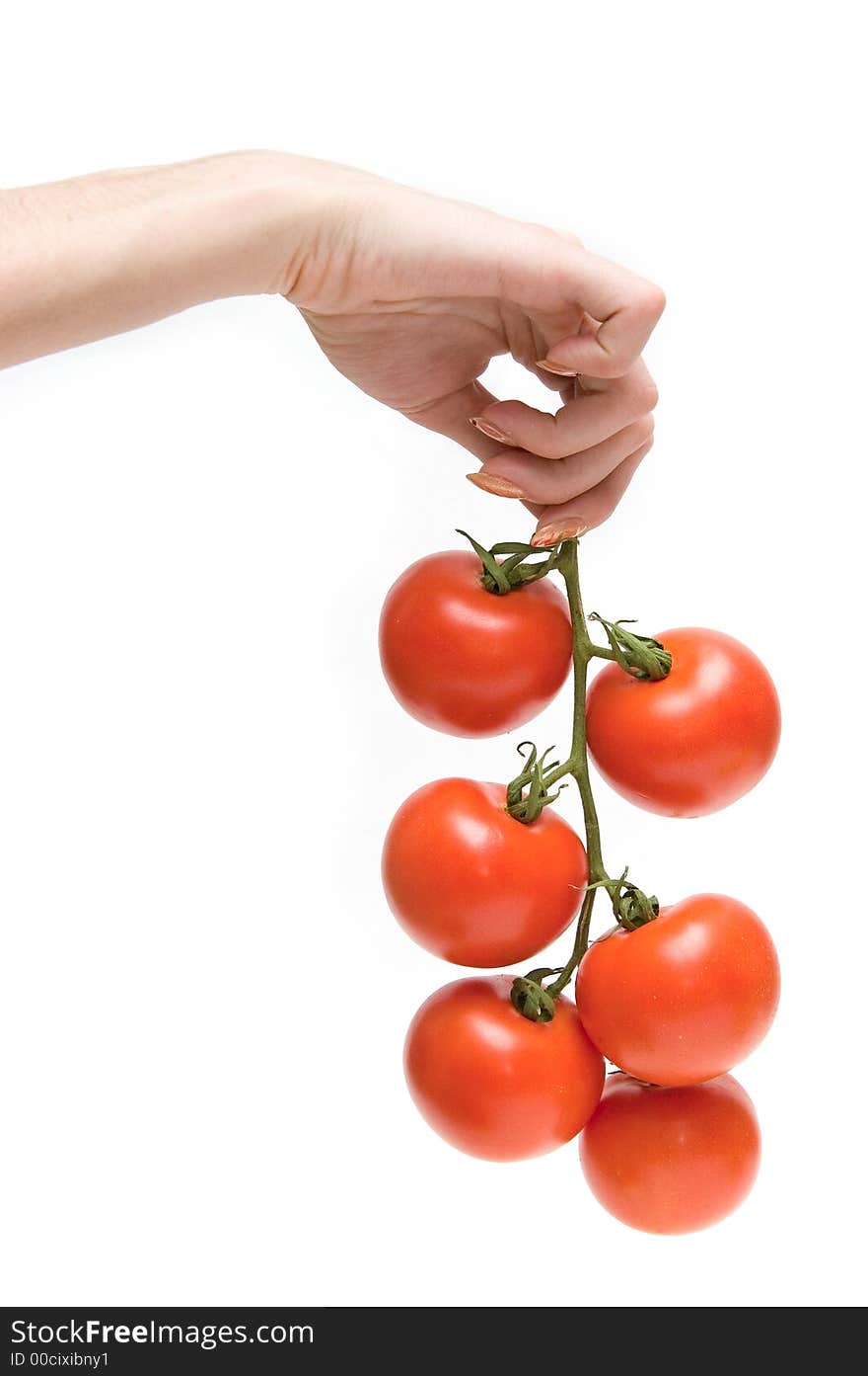 Hand Holding A Cluster Of Tomatoes