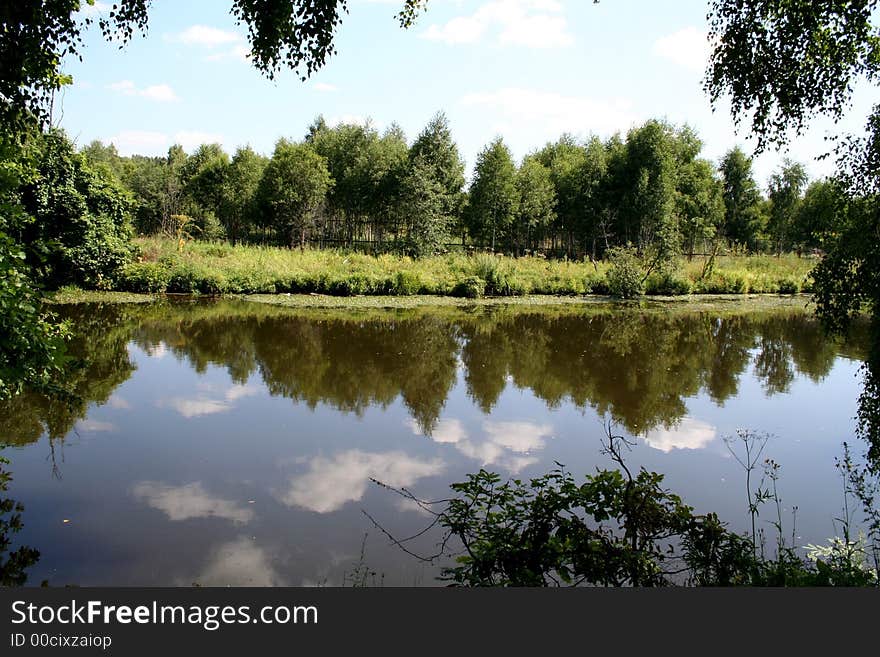 Reflection of wood and sky in the river. Summer. Reflection of wood and sky in the river. Summer.