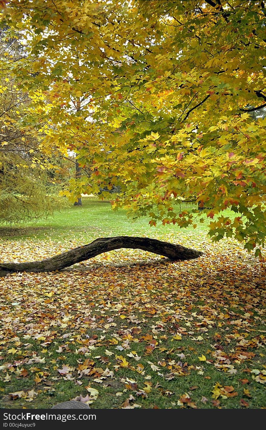 Fall foliage colors at Hyde Park New York. Fall foliage colors at Hyde Park New York