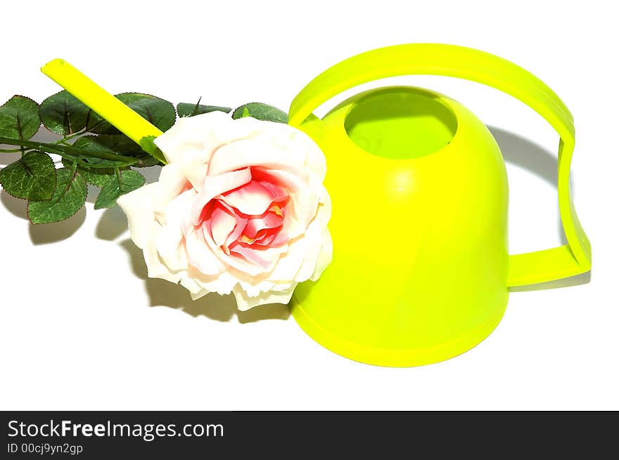 Watering can with white rose white background. Watering can with white rose white background