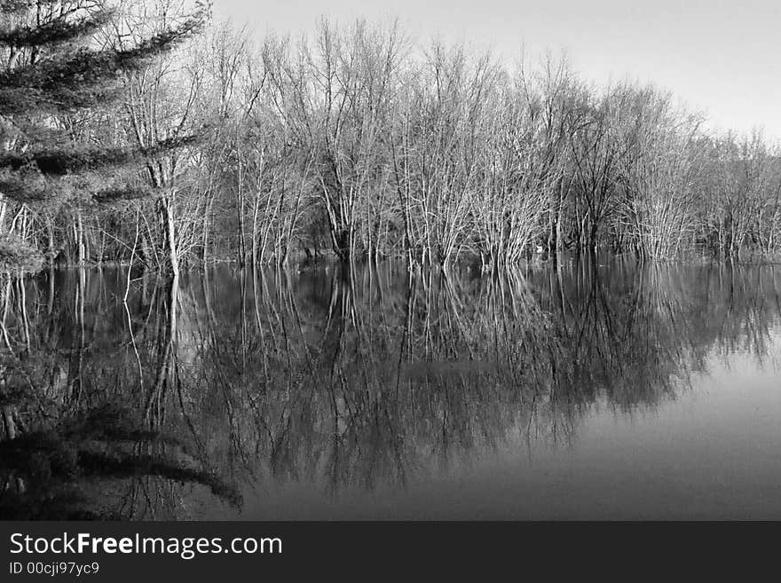 Black and white of the scene along a lake. Black and white of the scene along a lake