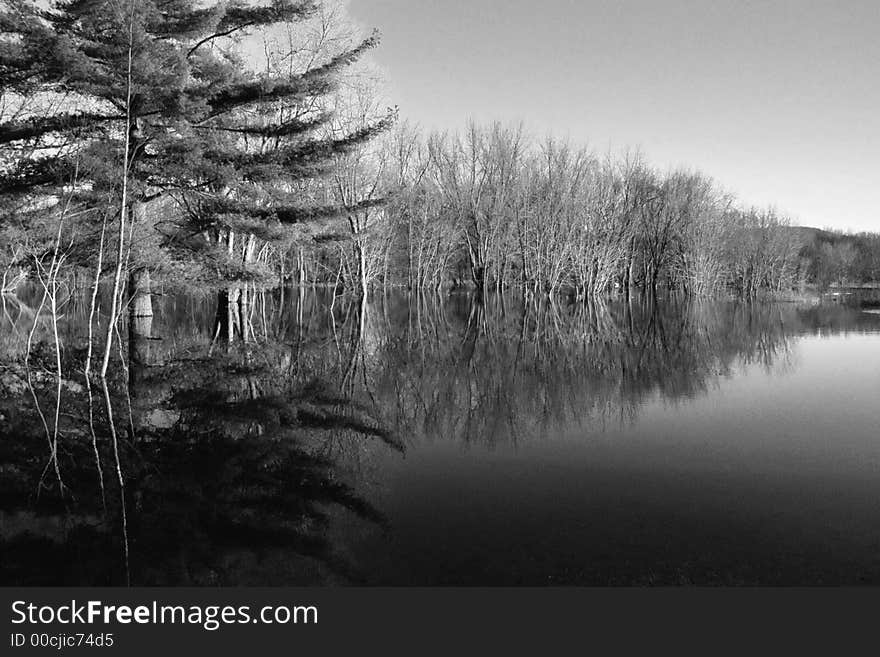 Black and white of the scene along a lake. Black and white of the scene along a lake