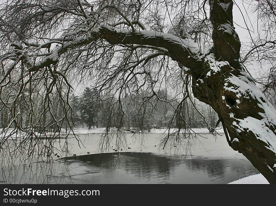 Winter in the kings garden in Warsaw, Poland. Winter in the kings garden in Warsaw, Poland.