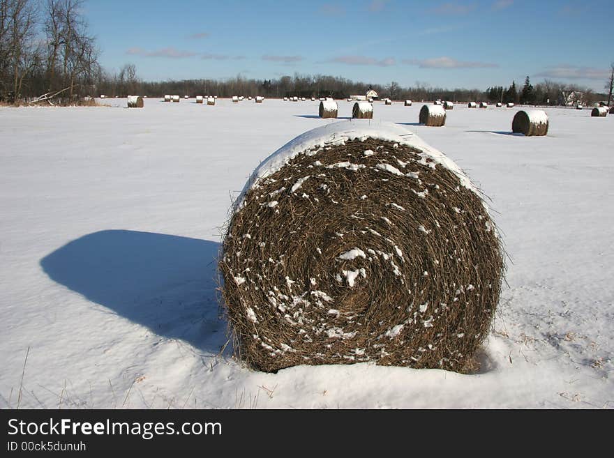 Pattern in a winter field - snowcaps on rolls of hay