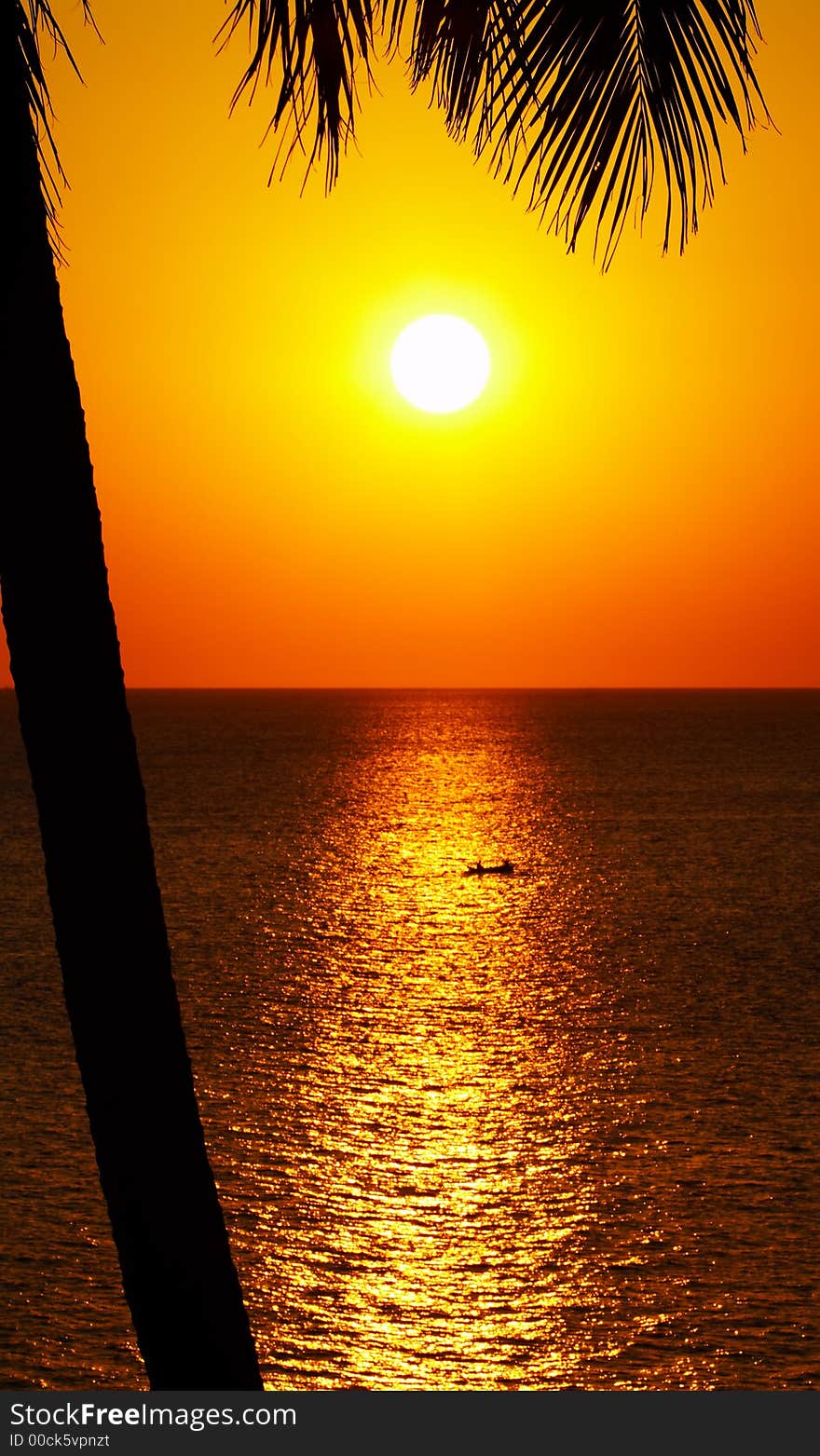 View of nice smooth tropic sunset glowing out of palms leaf. View of nice smooth tropic sunset glowing out of palms leaf