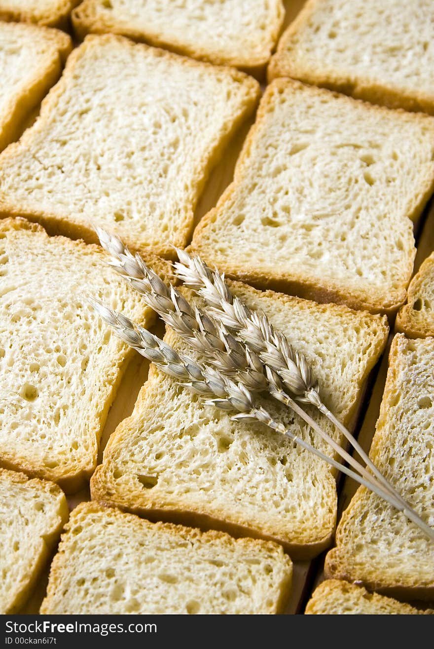 Bread is one of the basic kinds of food in Europen countries. Bread is one of the basic kinds of food in Europen countries.