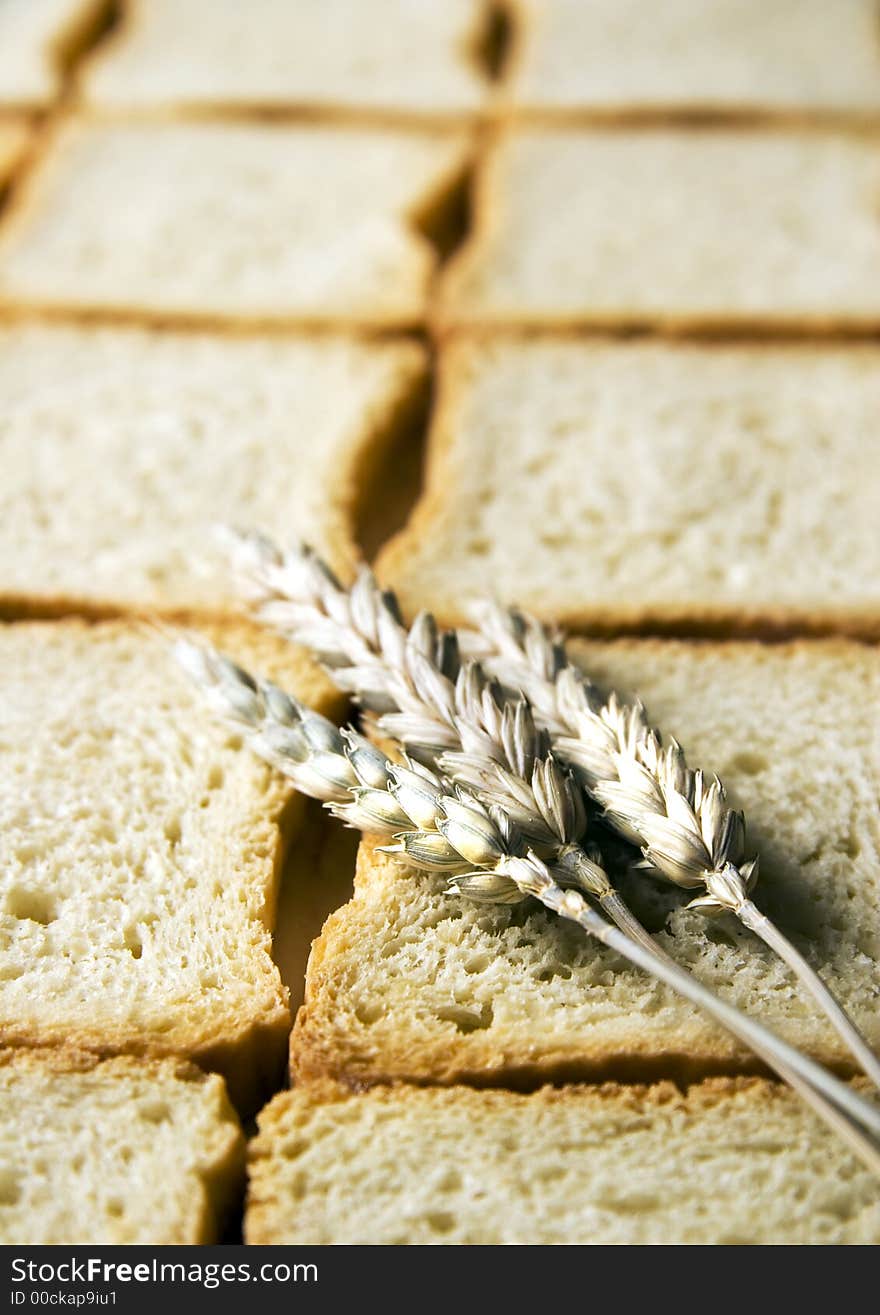 Bread is one of the basic kinds of food in Europen countries. Bread is one of the basic kinds of food in Europen countries.