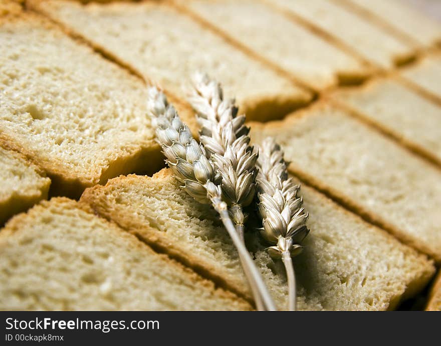 Bread is one of the basic kinds of food in Europen countries. Bread is one of the basic kinds of food in Europen countries.