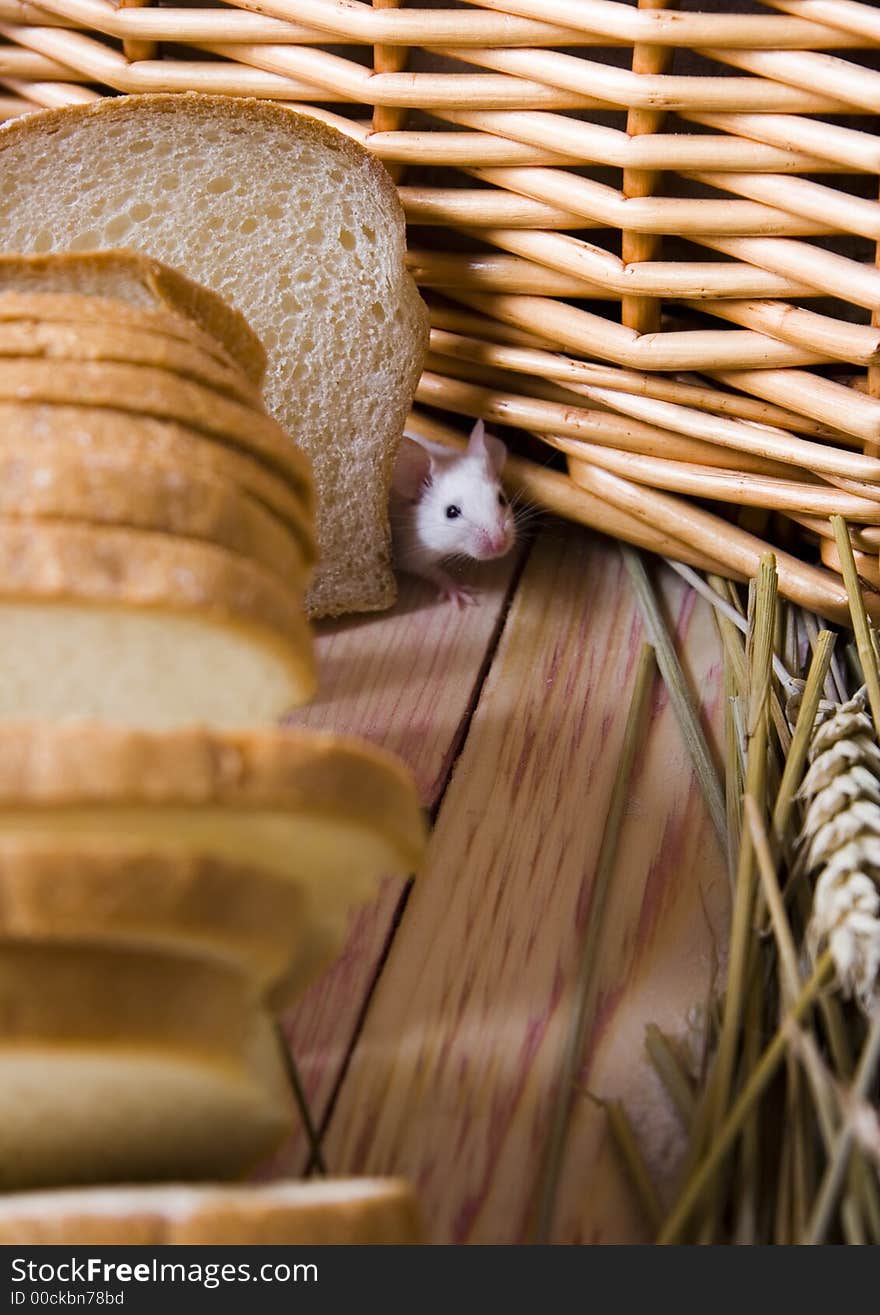 Bread is one of the basic kinds of food in European countries. Bread is one of the basic kinds of food in European countries.