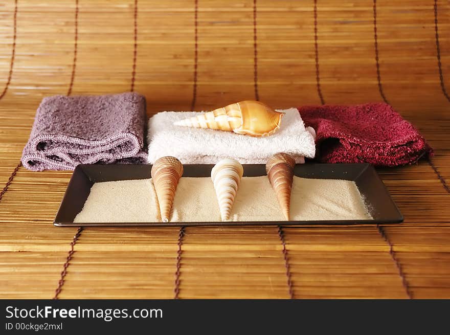 Sea shells and towels all positioned to create health concept