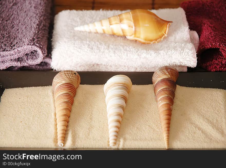 Sea shells and towels all positioned to create health concept