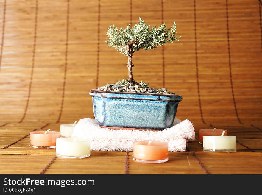 Bonsai and candles all positioned to create health concept. Bonsai and candles all positioned to create health concept