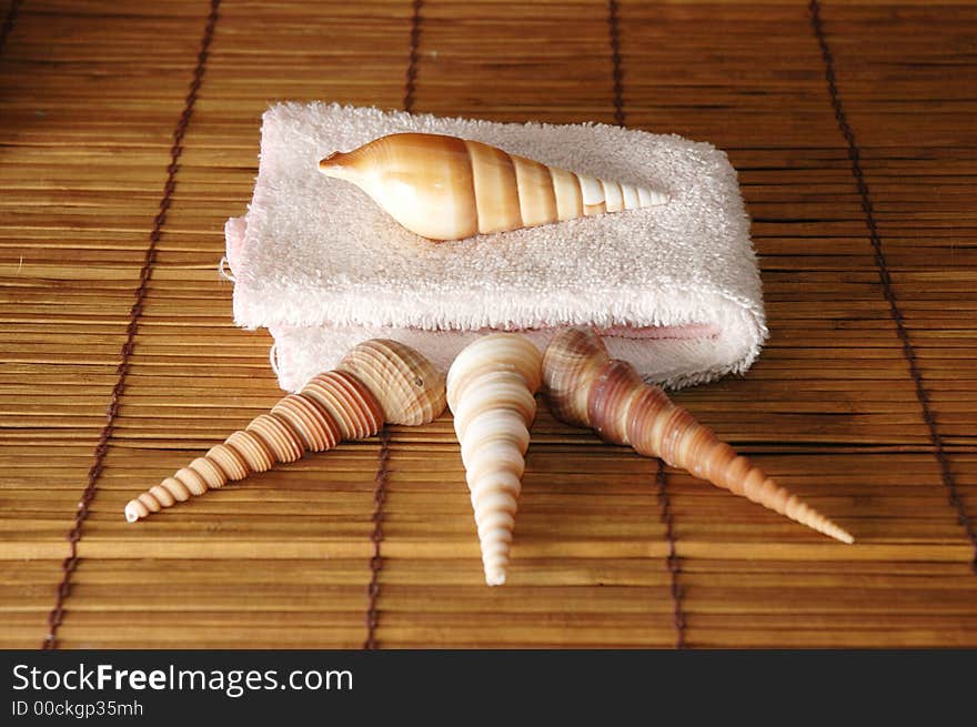 Sea shells and towels all positioned to create health concept