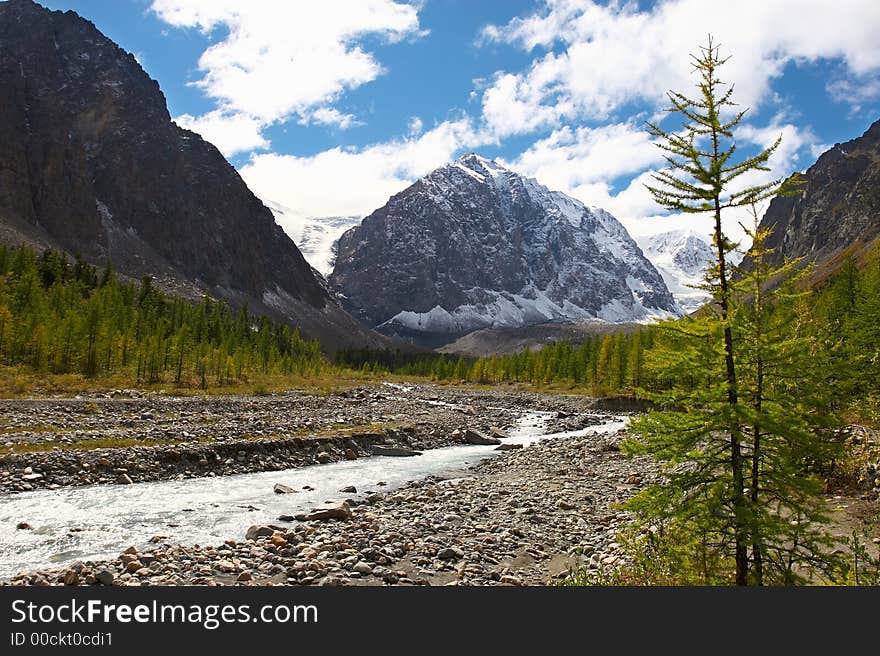 River, mountains and trees. Altay. Russia.