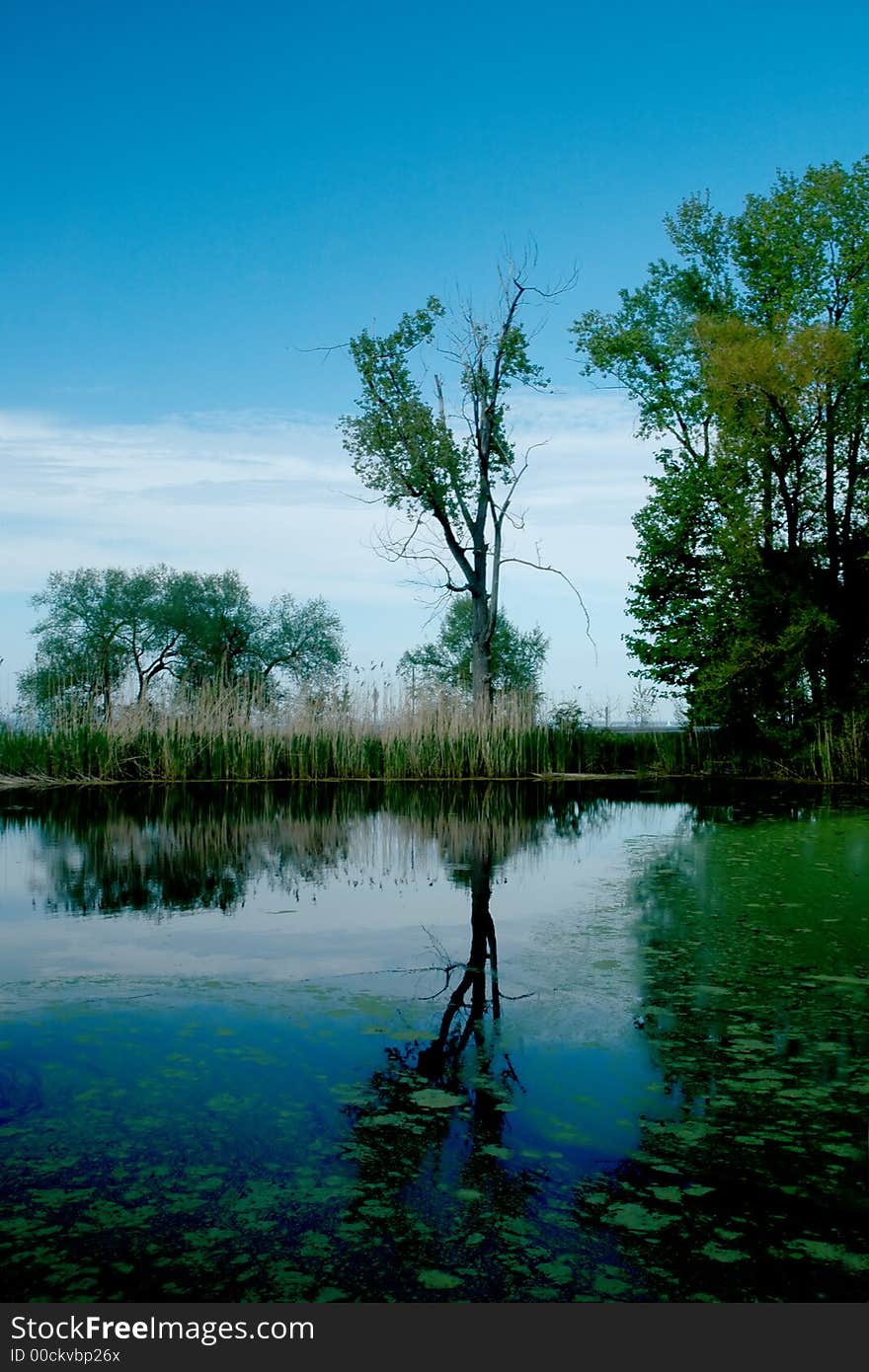 Scenic reflections of blue sky and green trees. Scenic reflections of blue sky and green trees.