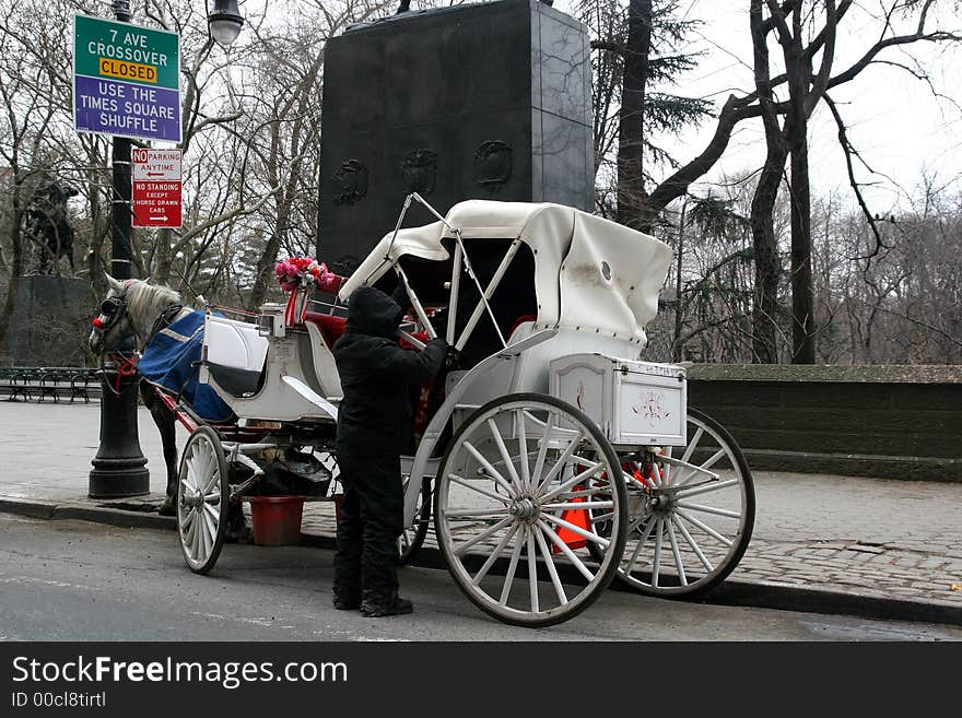 Carriage Driver preparing horse for a winter ride. Carriage Driver preparing horse for a winter ride