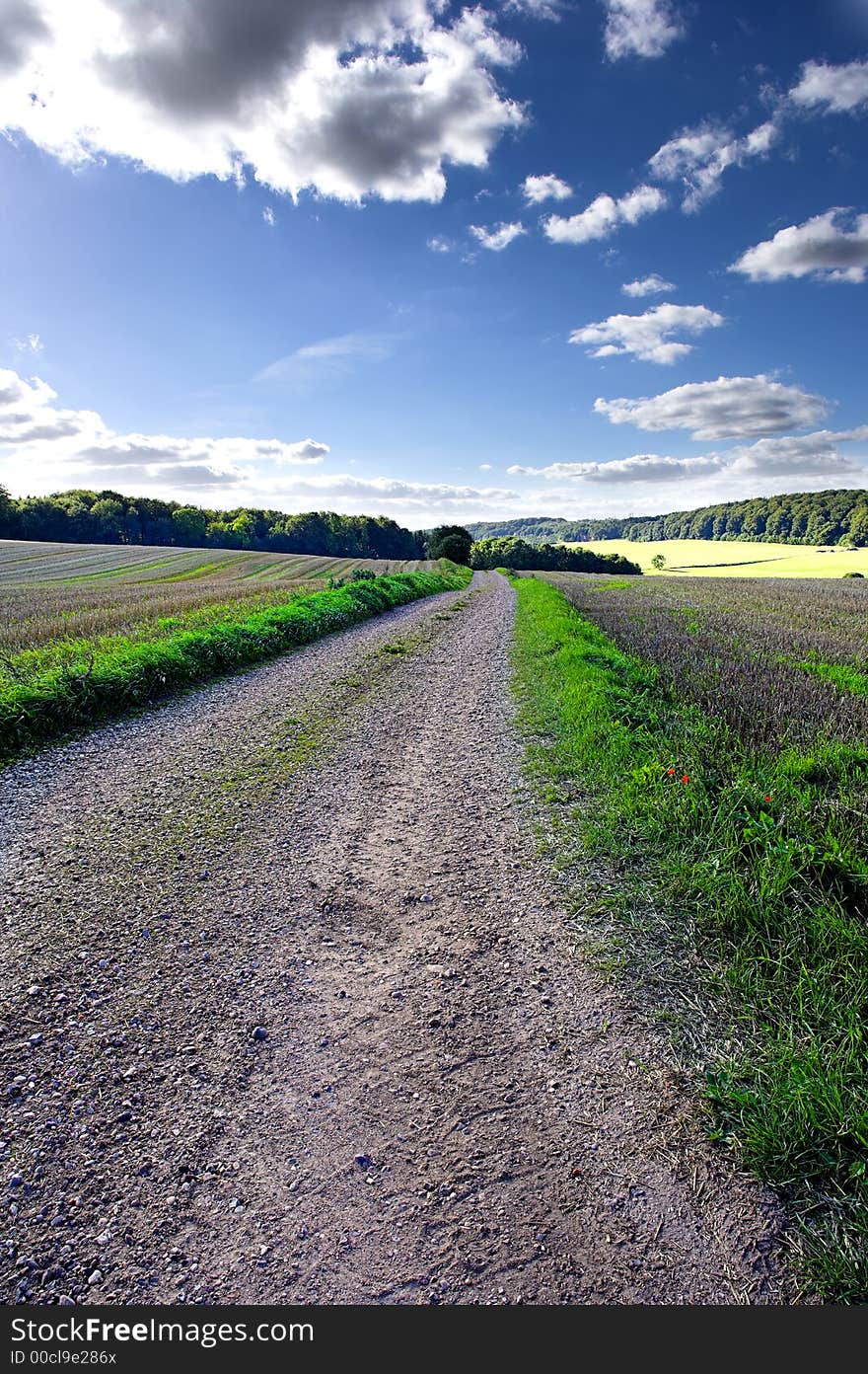 A photo of a country road (dirt road) in Denmark