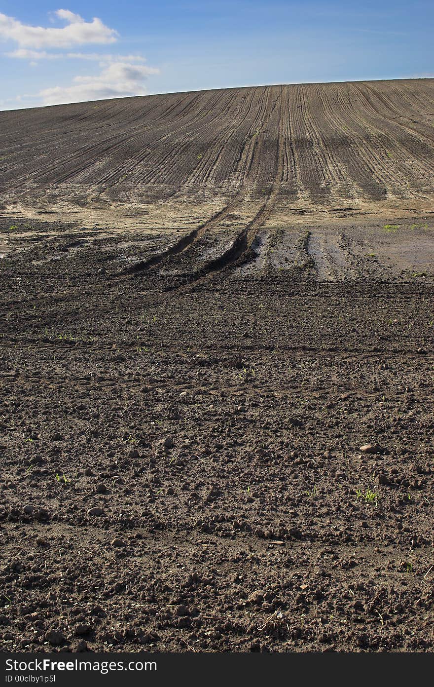 Cultivated farmland - fall