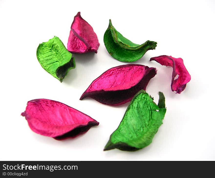 Beautiful multi-coloured dry flowers on a white background