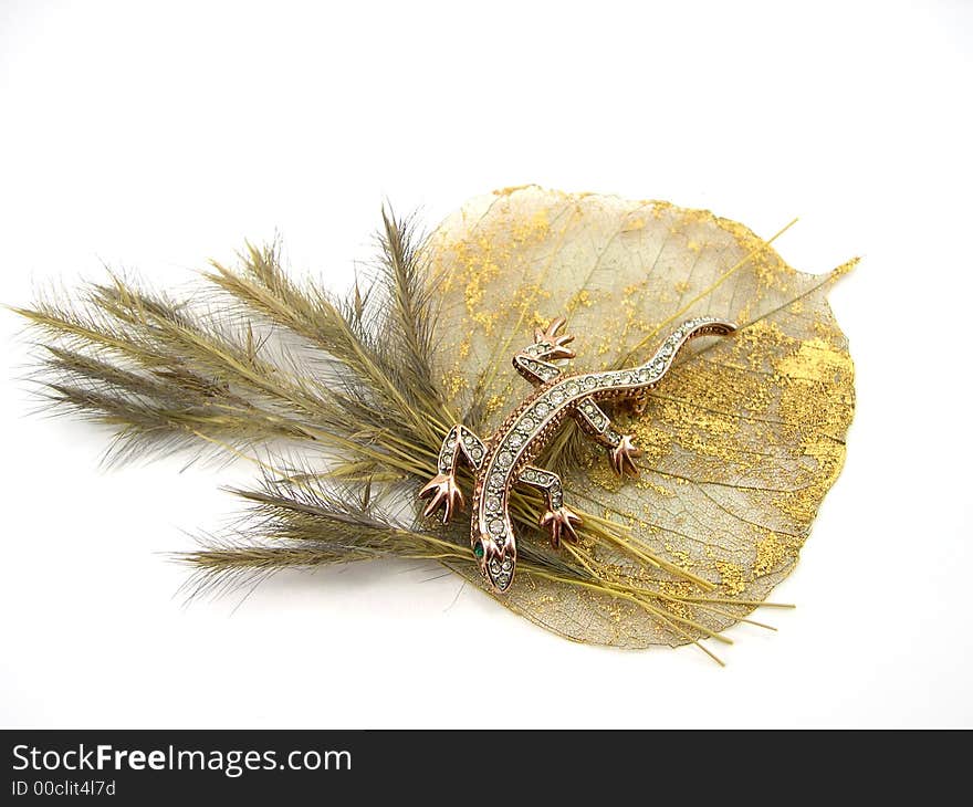 The beautiful decorative lizard on a dry branch and a sheet on a white background. The beautiful decorative lizard on a dry branch and a sheet on a white background