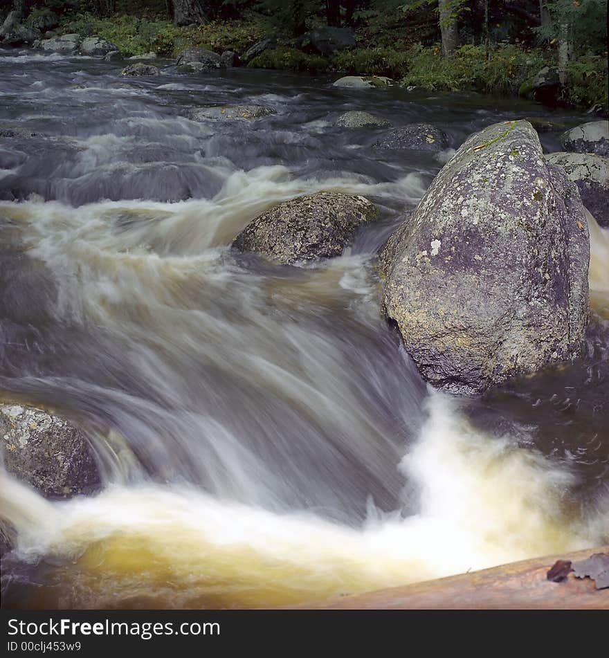 A Stream Flowing through the Woods Upstate New York. A Stream Flowing through the Woods Upstate New York