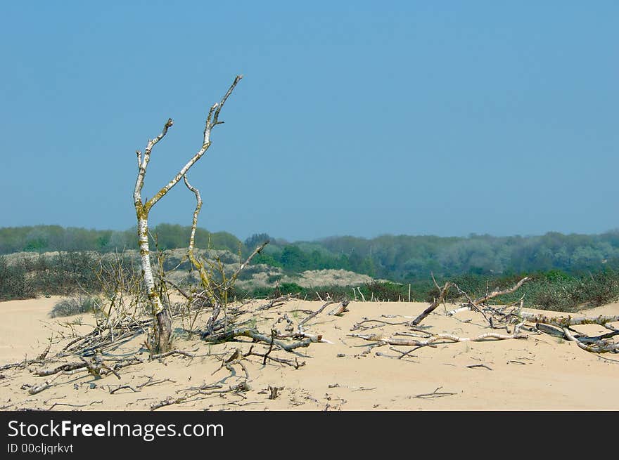 Dunes