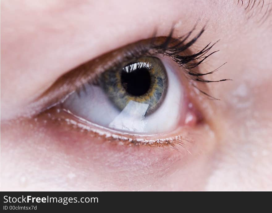 Fresh beautiful young woman portrait. Fresh beautiful young woman portrait