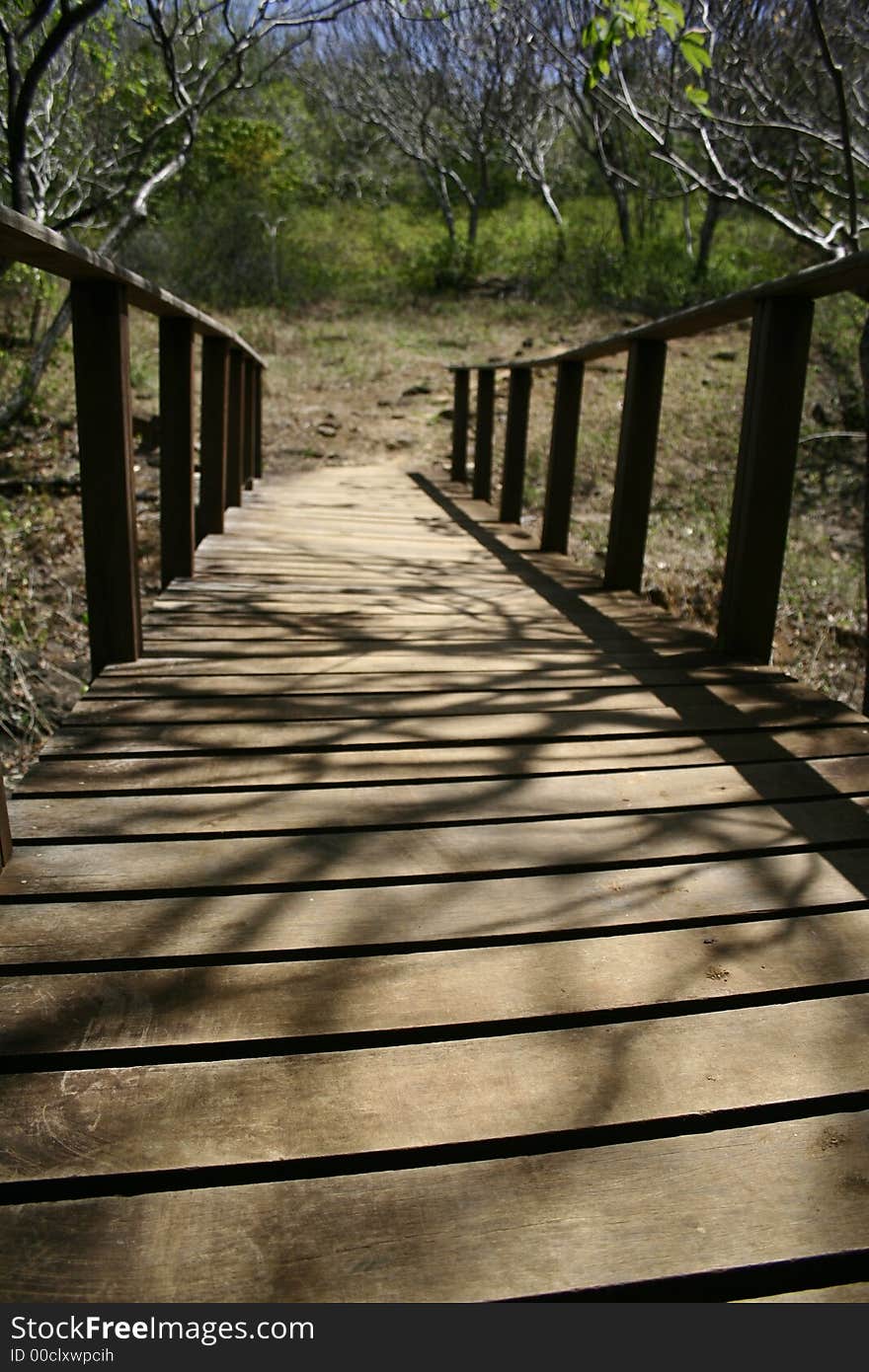 A wooden bridge leading to a path!