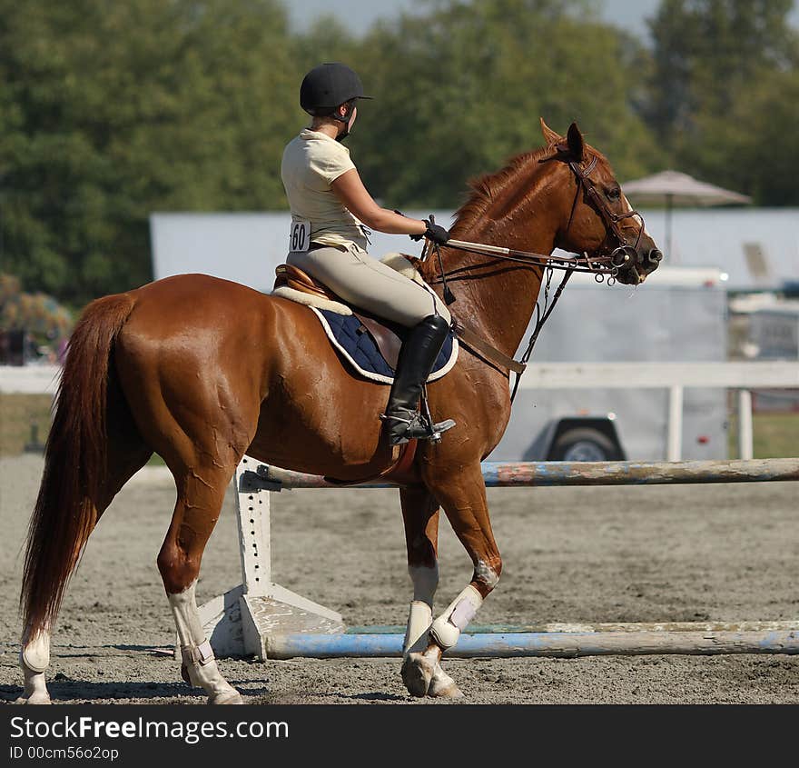 Young girl waiting to compete in local showjumping competition. Young girl waiting to compete in local showjumping competition