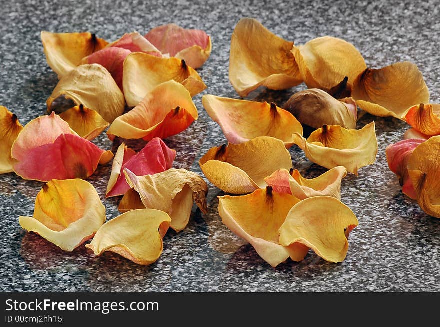 Petals of drying up rose on a granite flag