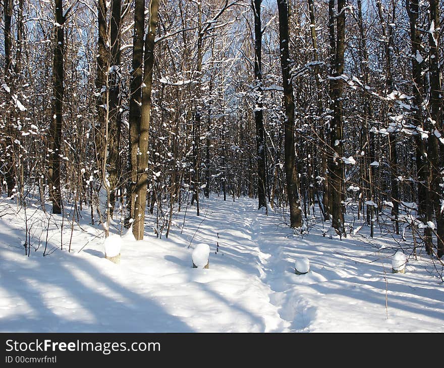 Ski Track