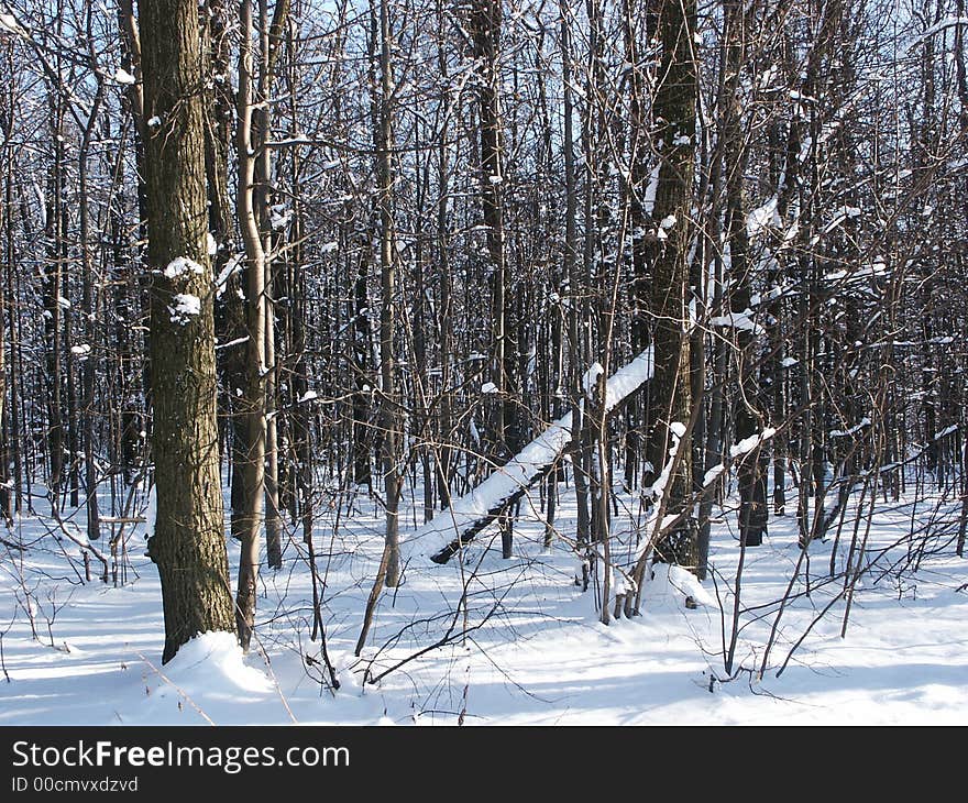 Ski track