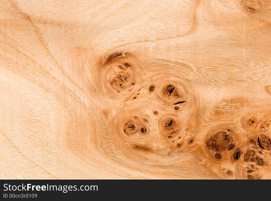 Texture of an elm root board, more textures in my archive. Texture of an elm root board, more textures in my archive