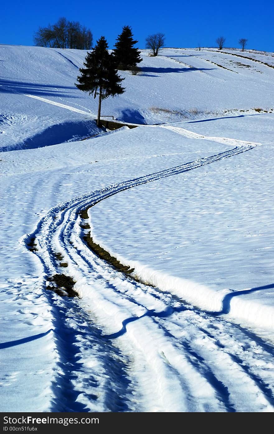 Winters landscape and blue snow. Winters landscape and blue snow