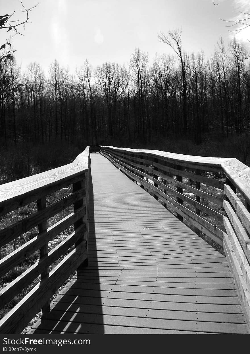 B/w walkway in national park