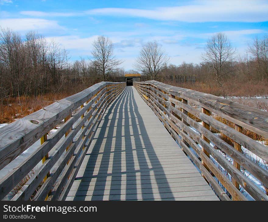 Walkway to a bird blind