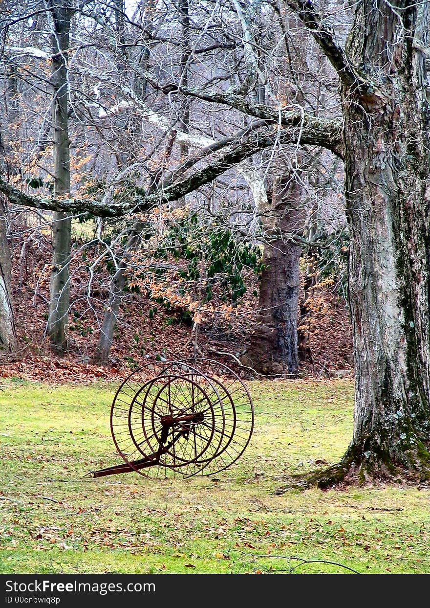 Old rusted wagon wheel near a tree. Old rusted wagon wheel near a tree