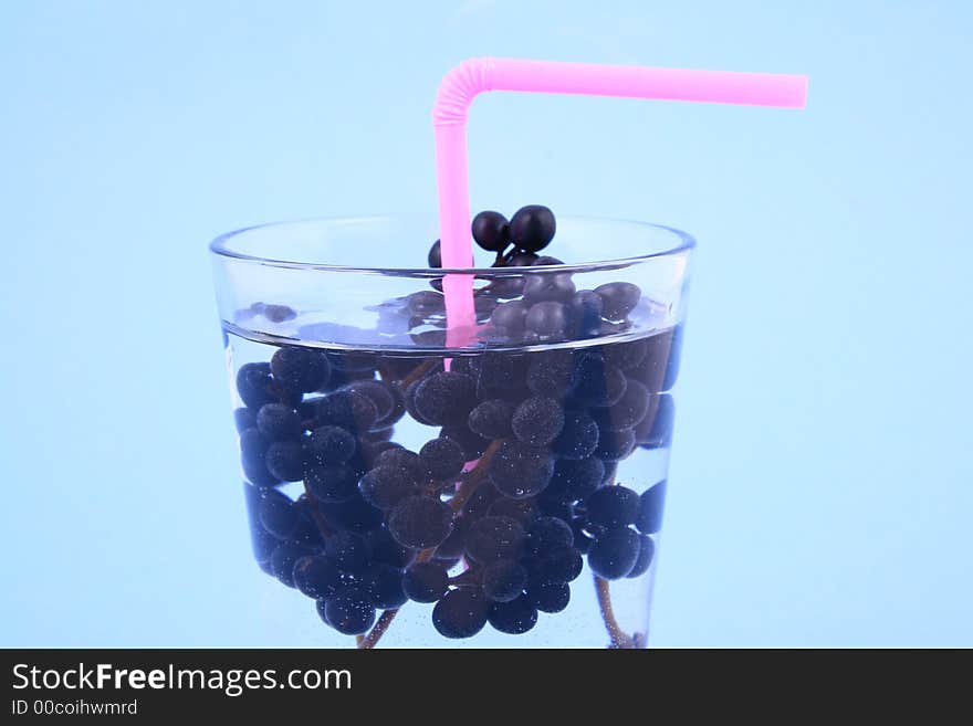 Water currant