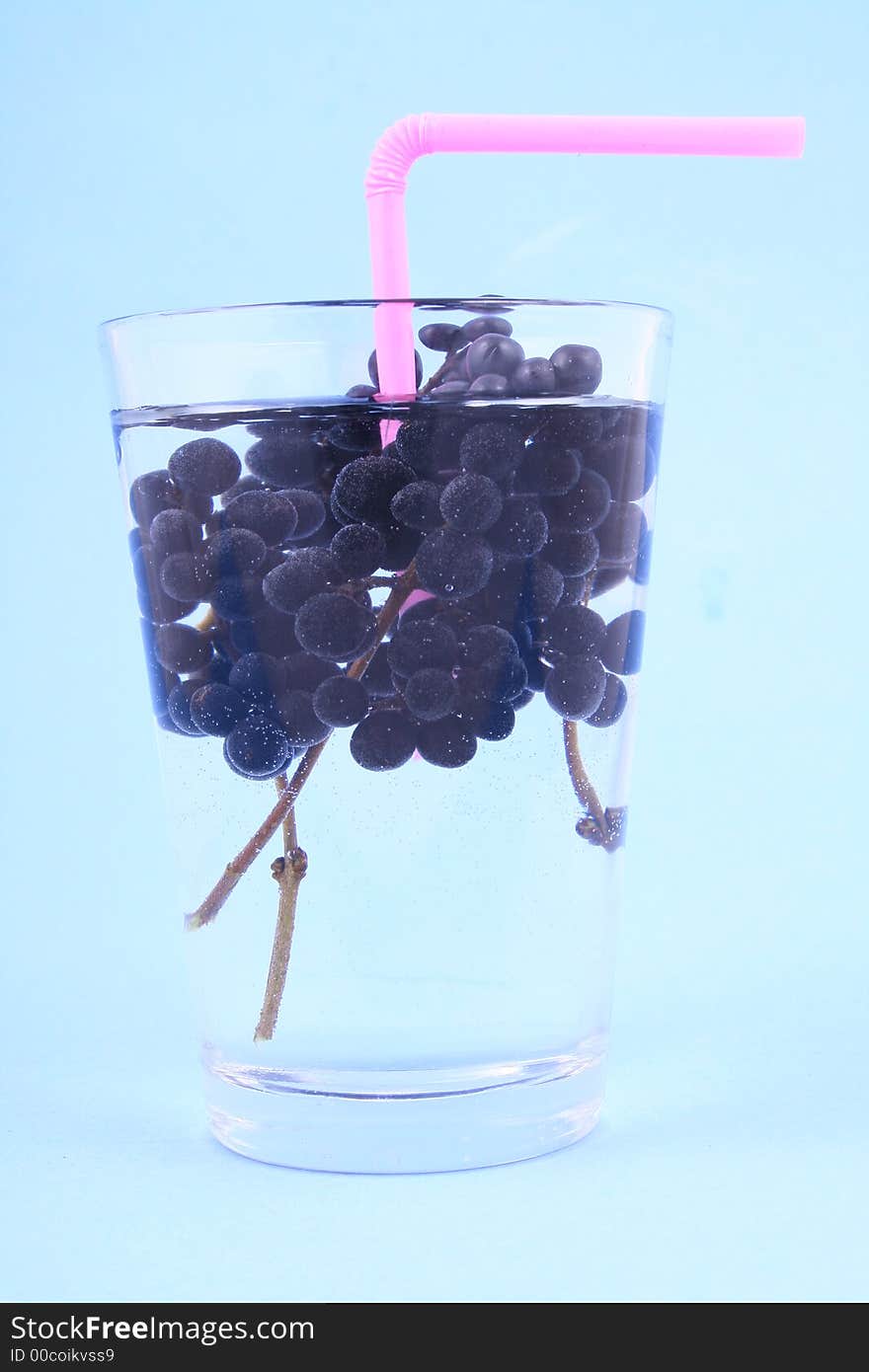 Water Currant