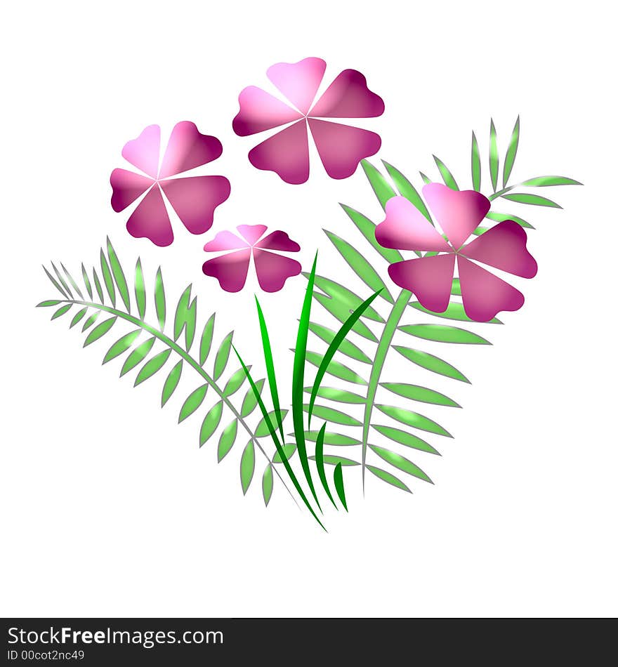 Pink flowers and leaves on white background. Pink flowers and leaves on white background